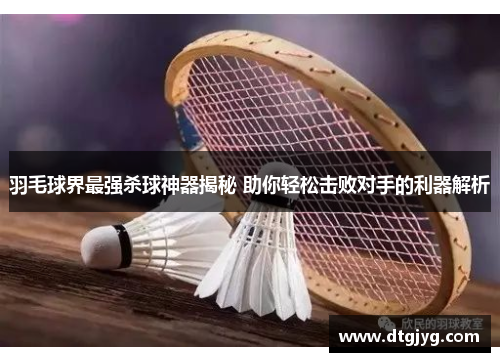 羽毛球界最强杀球神器揭秘 助你轻松击败对手的利器解析