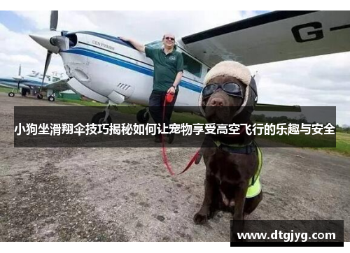 小狗坐滑翔伞技巧揭秘如何让宠物享受高空飞行的乐趣与安全