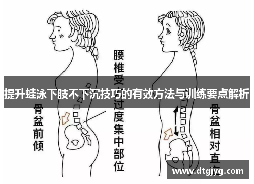 提升蛙泳下肢不下沉技巧的有效方法与训练要点解析