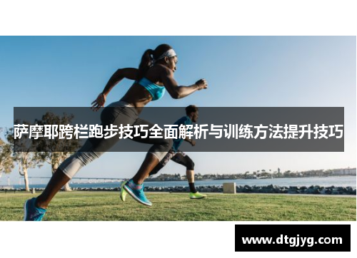 萨摩耶跨栏跑步技巧全面解析与训练方法提升技巧