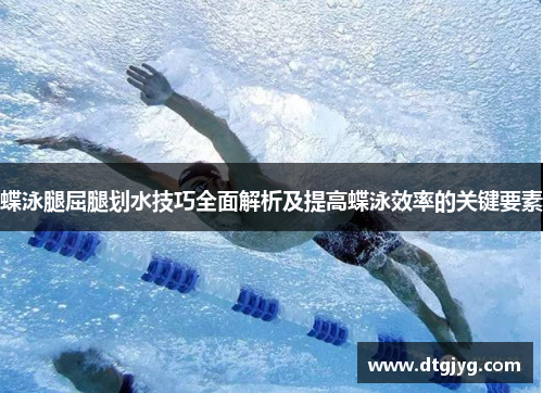 蝶泳腿屈腿划水技巧全面解析及提高蝶泳效率的关键要素